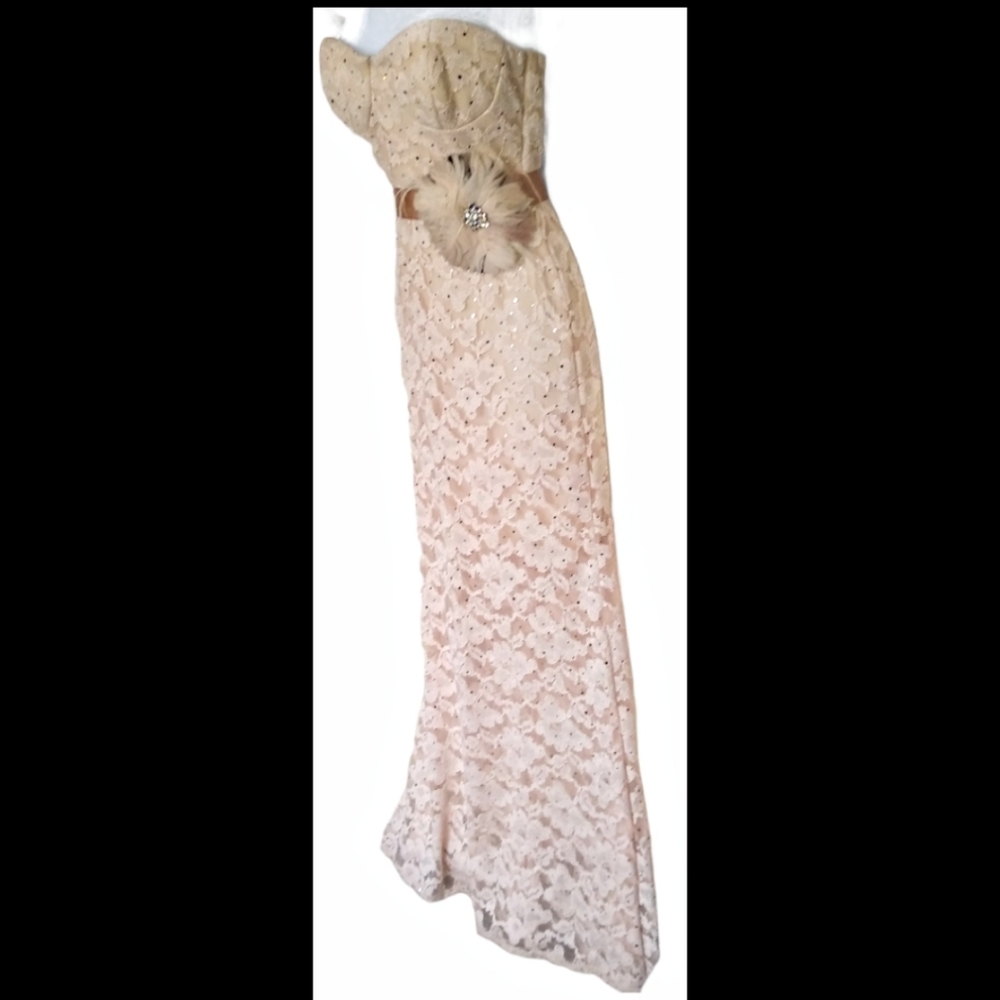 Vintage rose gold lace dress